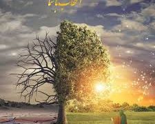 আল্লাহর অলিরা থাকেন অন্তরালে